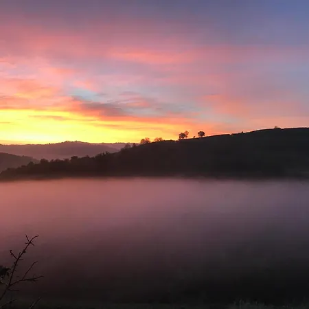 Oda ve Kahvaltı Acaso