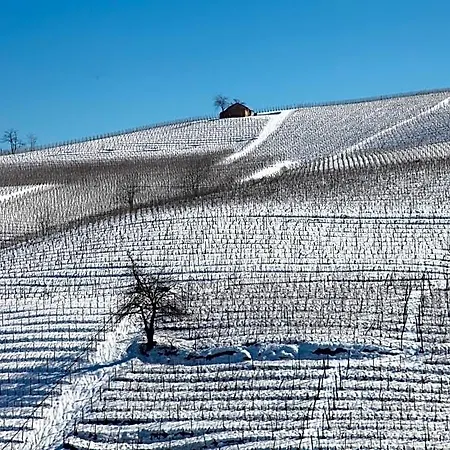 Acaso Serralunga d'Alba