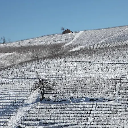 Oda ve Kahvaltı Acaso
